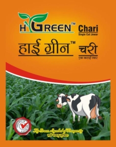 Hy-green chari