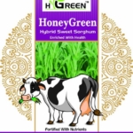 honey green