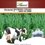 hybrid power chari