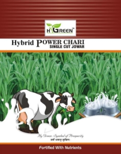 hybrid power chari